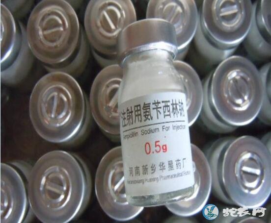 养蛇治病选人用抗生素还是兽用抗生素的问题!