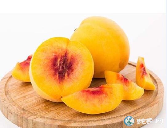 桃子什么时候成熟?桃子几月份成熟的比较多?