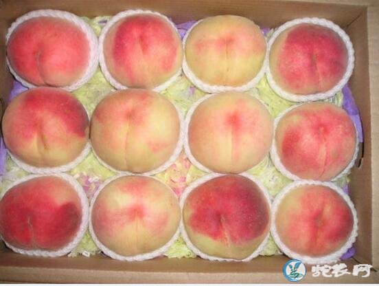 桃子什么时候成熟?桃子几月份成熟的比较多?