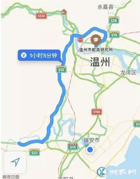 男子野外钓鱼被五步蛇咬伤!求助交警一路护送转危为安!