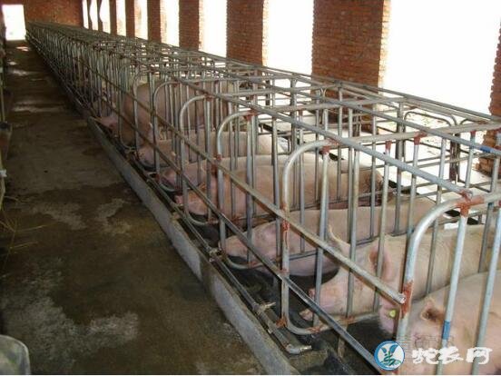 农业部已经开始部署生猪生产农机装备购置补贴!