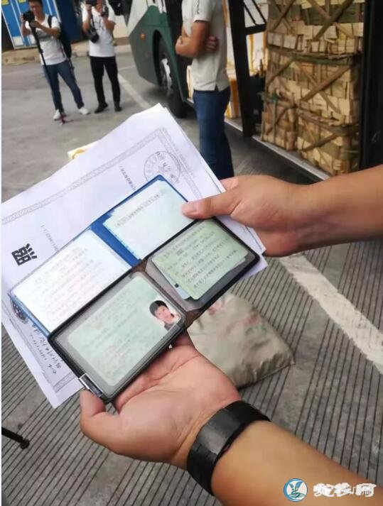 车厢藏900余斤大型养殖毒蛇!司机被处以罚款1500元!