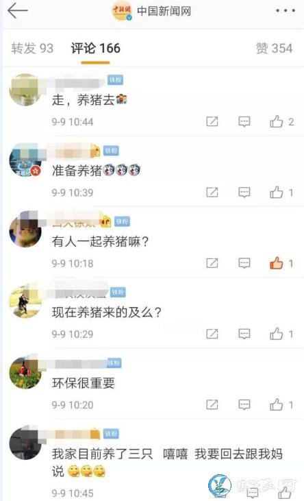 “走！回农村养猪去”！给钱、给点、给信心！养猪行业的红利到来了！