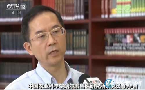 中国农科院发布猪场复养技术!可以完全防止非洲猪瘟泛滥!