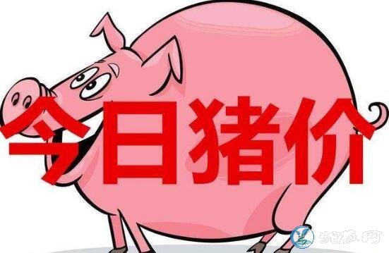 2019年9月14日猪价格行情、今日生猪多少钱一斤？