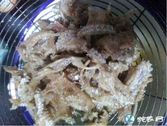 椒盐蛇排怎么做好吃?椒盐蛇排的做法大全!