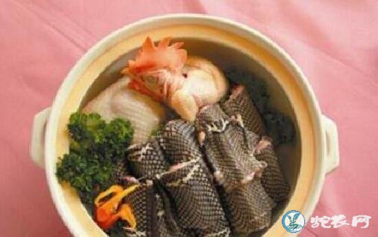 肺癌患者可以吃蛇肉吗?肺癌吃蛇肉有什么好处?