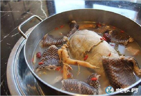 白血病患者能吃蛇肉吗?白血病患者什么不能吃?