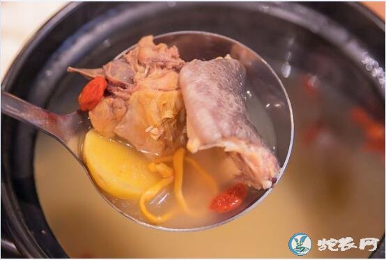 白血病患者能吃蛇肉吗?白血病患者什么不能吃?