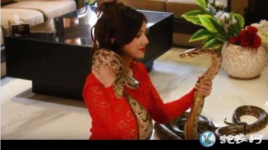 印度总理莫迪遭巴基斯坦流行女歌手用蛇“威胁”怎么回事？