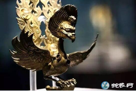 鲲鹏的确真实存在!庄子在北海所见“北溟有鱼,其名为鲲”已被揭秘!