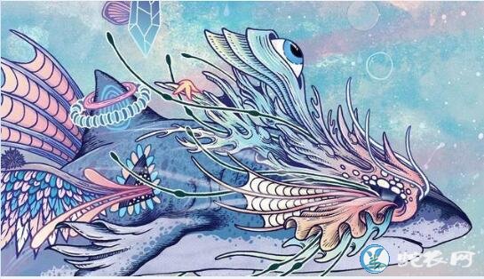 鲲鹏的确真实存在!庄子在北海所见“北溟有鱼,其名为鲲”已被揭秘!