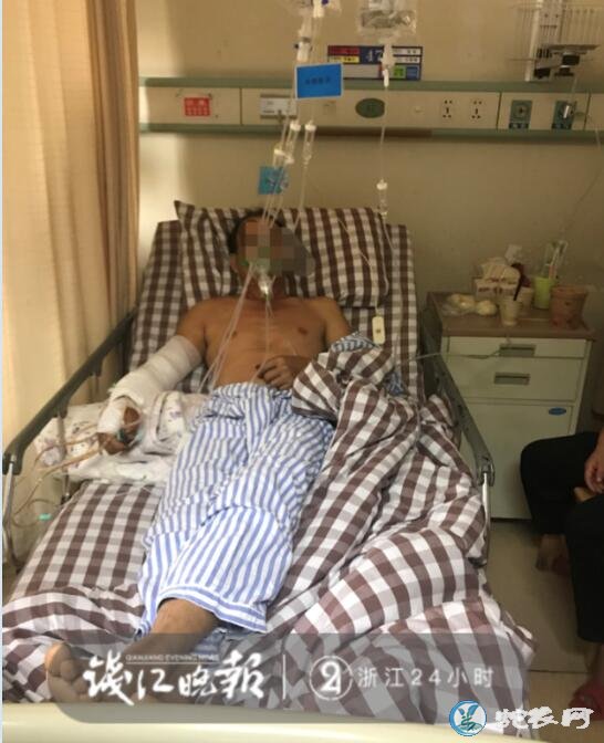 淳安老人打山核桃被4厘米粗五步蛇咬伤!排毒量仅次于眼镜王蛇!