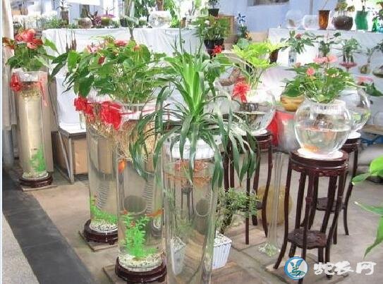 无土栽培营养液配方