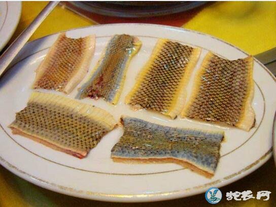 乌梢蛇的药效性温还是性凉?吃乌梢蛇要注意功效与禁忌!