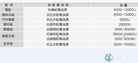 中国毒蛇咬伤每年20万!死残2万!上海赛伦蛇毒血清避免死残立大功!