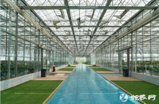 新型大棚、新型智能玻璃温室大棚介绍