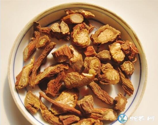 丹参的功效、丹参泡水喝的功效有哪些?