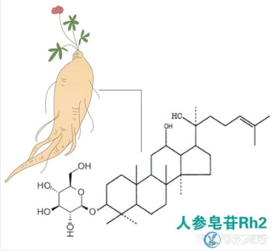 人参皂苷rh2