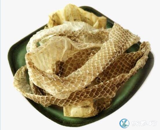 干蛇皮多少钱一斤?蛇蜕价格行情!