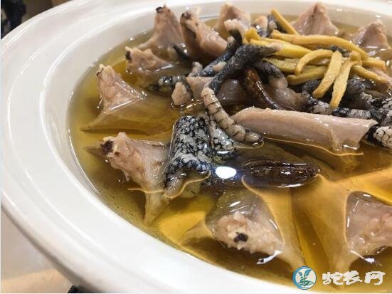 广州旅游美食攻略！蛇血拌饭、蛇肉火锅、蛇胆蛋挞、蛇胆酒都吃过了吗！
