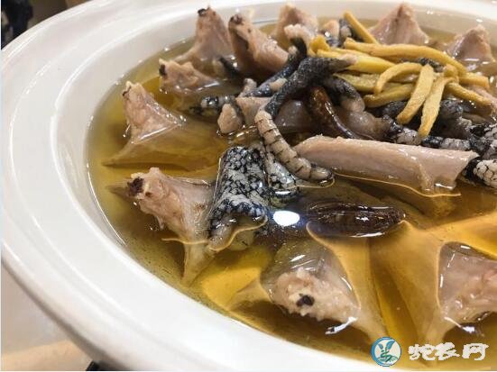 广州旅游美食攻略!蛇血拌饭、蛇肉火锅、蛇胆蛋挞、蛇胆酒都吃过了吗!