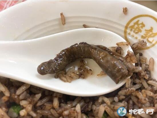 广州旅游美食攻略！蛇血拌饭、蛇肉火锅、蛇胆蛋挞、蛇胆酒都吃过了吗！