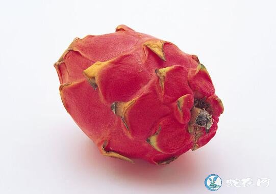 火龙果怎么挑?又甜又好吃的火龙果挑选方法?