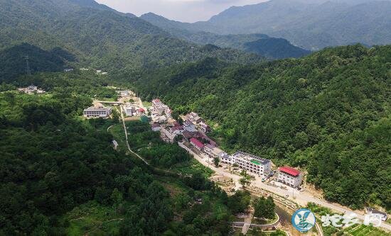 农村致富故事:“争相跳农门”为何变成“我要回农村”?