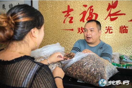 农村致富故事:“争相跳农门”为何变成“我要回农村”?