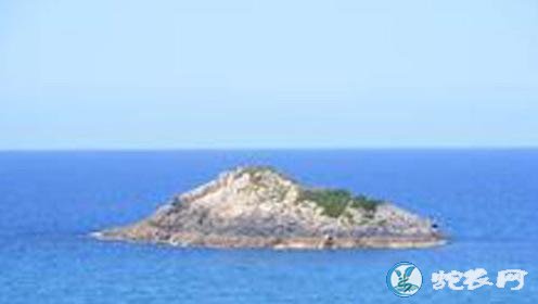 1933年法国考察船南海发现小岛半月消失事件