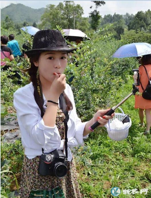 蓝莓一天吃多少为宜?吃蓝莓有什么禁忌?