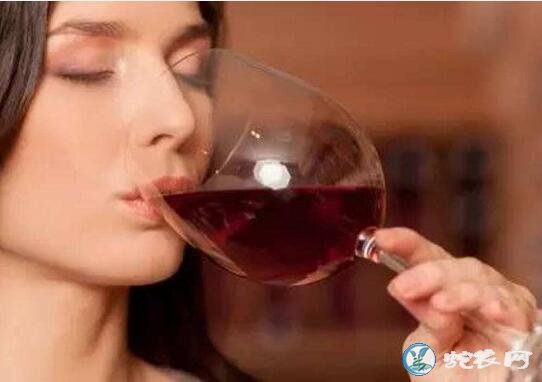 葡萄酒、葡萄酒的功效与作用？