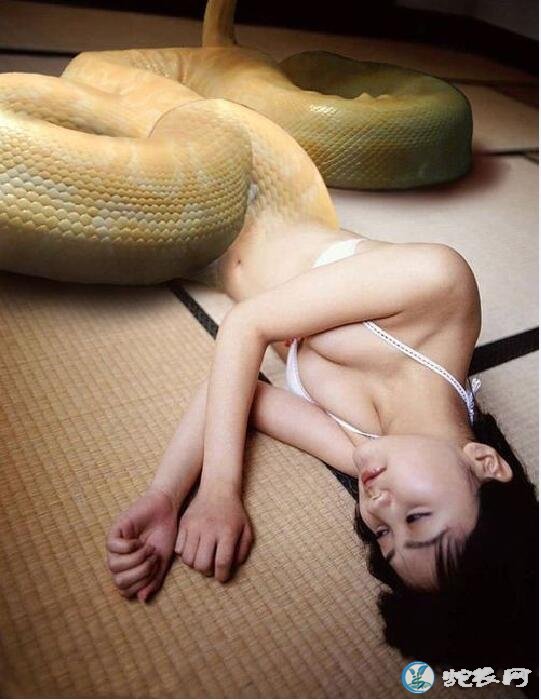 美女蛇的图片、美女蛇真人版写真图片
