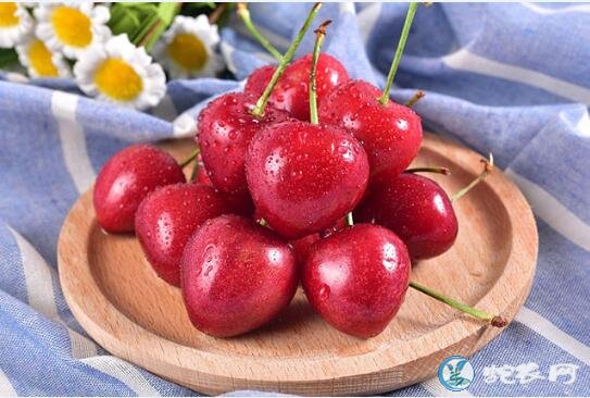 樱桃什么时候成熟、樱桃正常成熟的季节是什么季节?