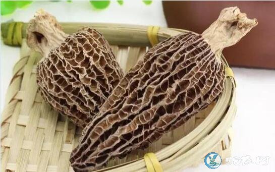 羊肚菌一斤多少钱