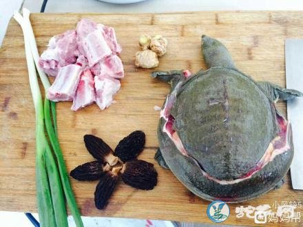 羊肚菌怎么吃?羊肚菌怎么吃营养最好最滋补?