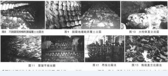 平菇的种植方法,平菇覆土栽培15种方法分享