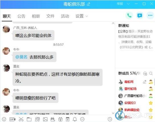 养蛇qq群、欢迎来到毒蛇俱乐部养蛇QQ群