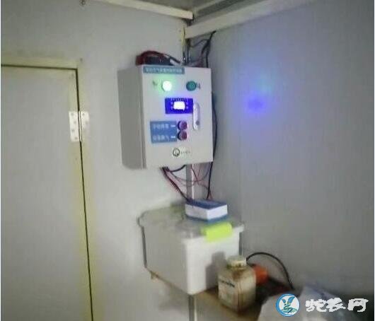 水律蛇养殖场、水律蛇养蛇技术培训哪家好?