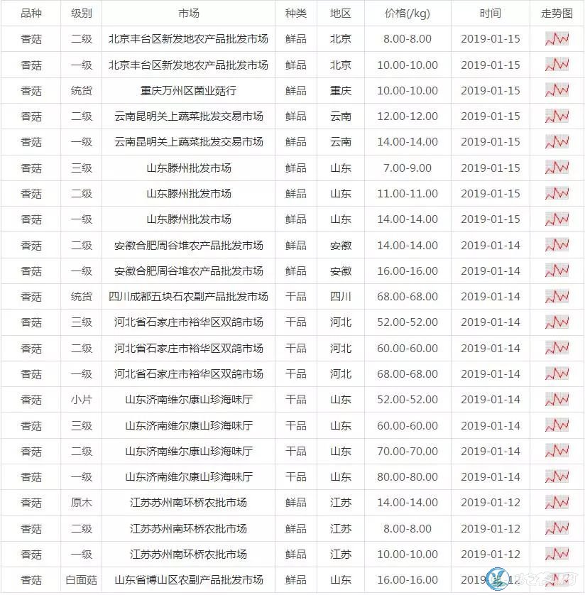 未来几年香菇行情预测、香菇种植项目怎么样?