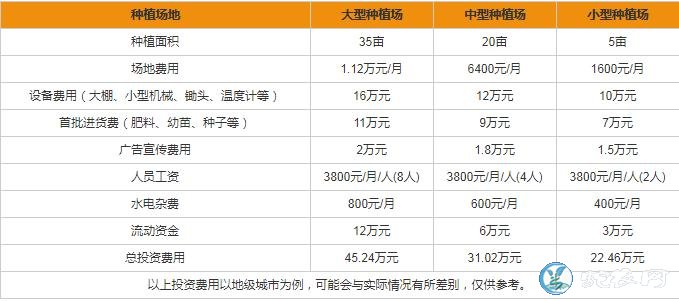 投资金针菇厂要多少钱?种植金针菇要多少成本?