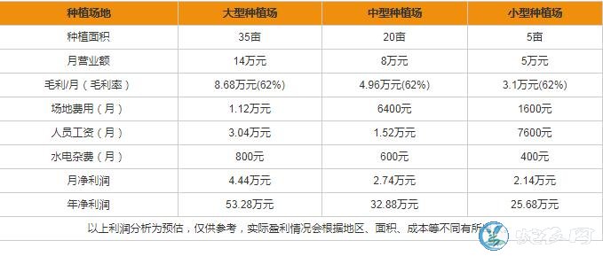 投资金针菇厂要多少钱?种植金针菇要多少成本?
