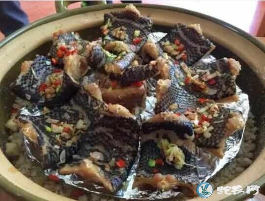 乙肝能吃蛇肉吗?乙肝病人吃蛇肉有什么好处?