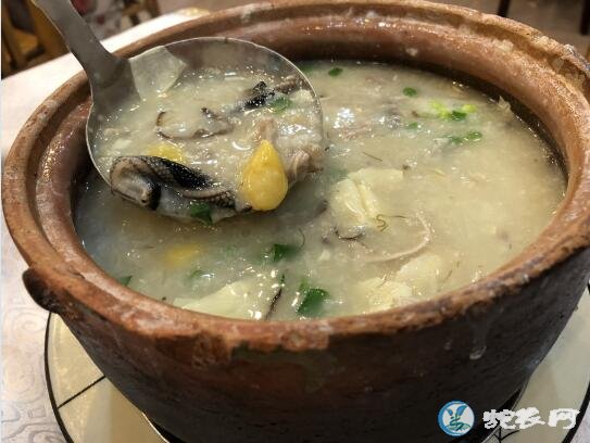 胃癌患者能吃蛇肉吗?胃癌吃蛇肉有什么好处?