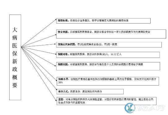 2019年新农合大病报销范围都有哪些？