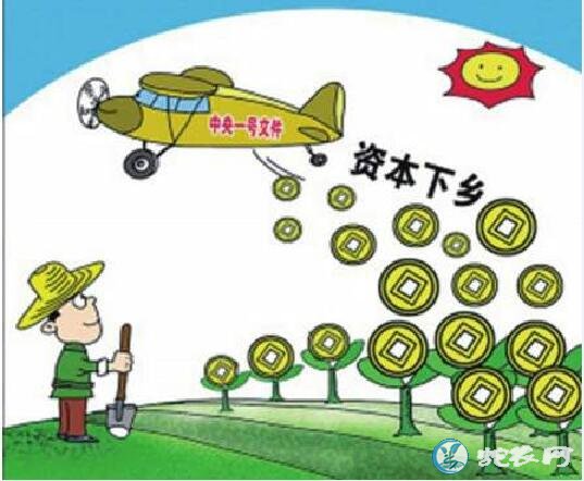 农村合作社政策、农村合作社有哪些项目扶持?