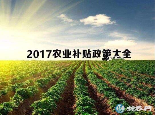 2019年农村合作社优惠政策都出台了哪些？