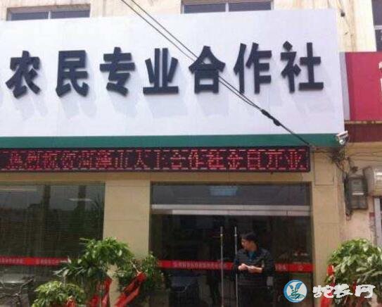 农村合作社补贴政策去哪里申请?