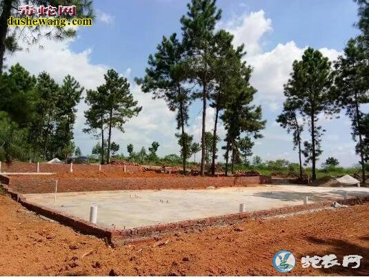 大王蛇养殖场建设图、大王蛇养殖场怎么建?
